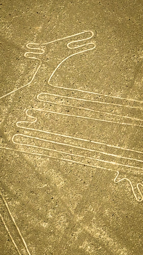 Nazca Lines